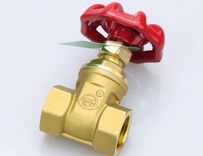 數(shù)字化轉(zhuǎn)型風(fēng)口下，天津閥門(mén)網(wǎng)借勢(shì)升級(jí)實(shí)現(xiàn)銷售額逆勢(shì)增長(zhǎng)